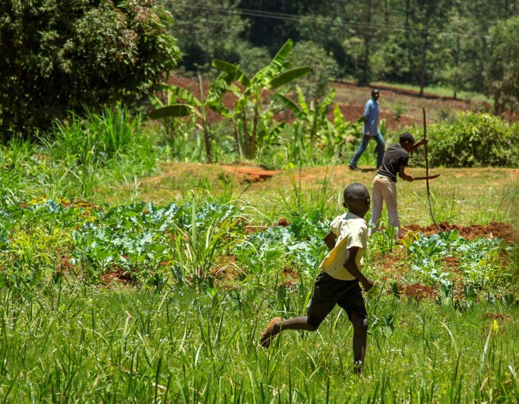 Youth in Agriculture A New Generation Leverages Technology Mercy Corps AgriFin